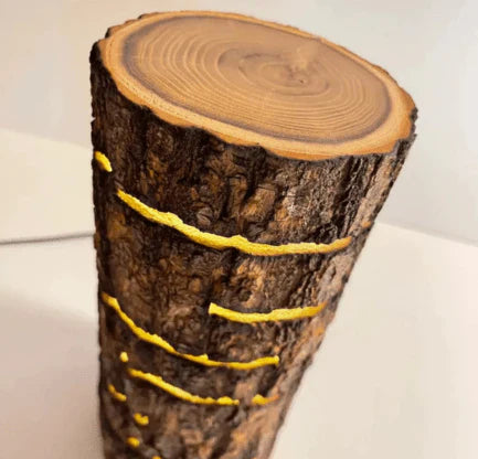 Latest and Stylish Wooden Lamps for Living Room in Pakistan Online (2025)