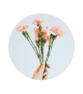 24/7 Support and Advice