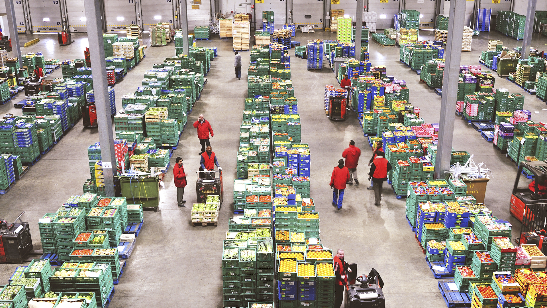 Fresh Produce Export