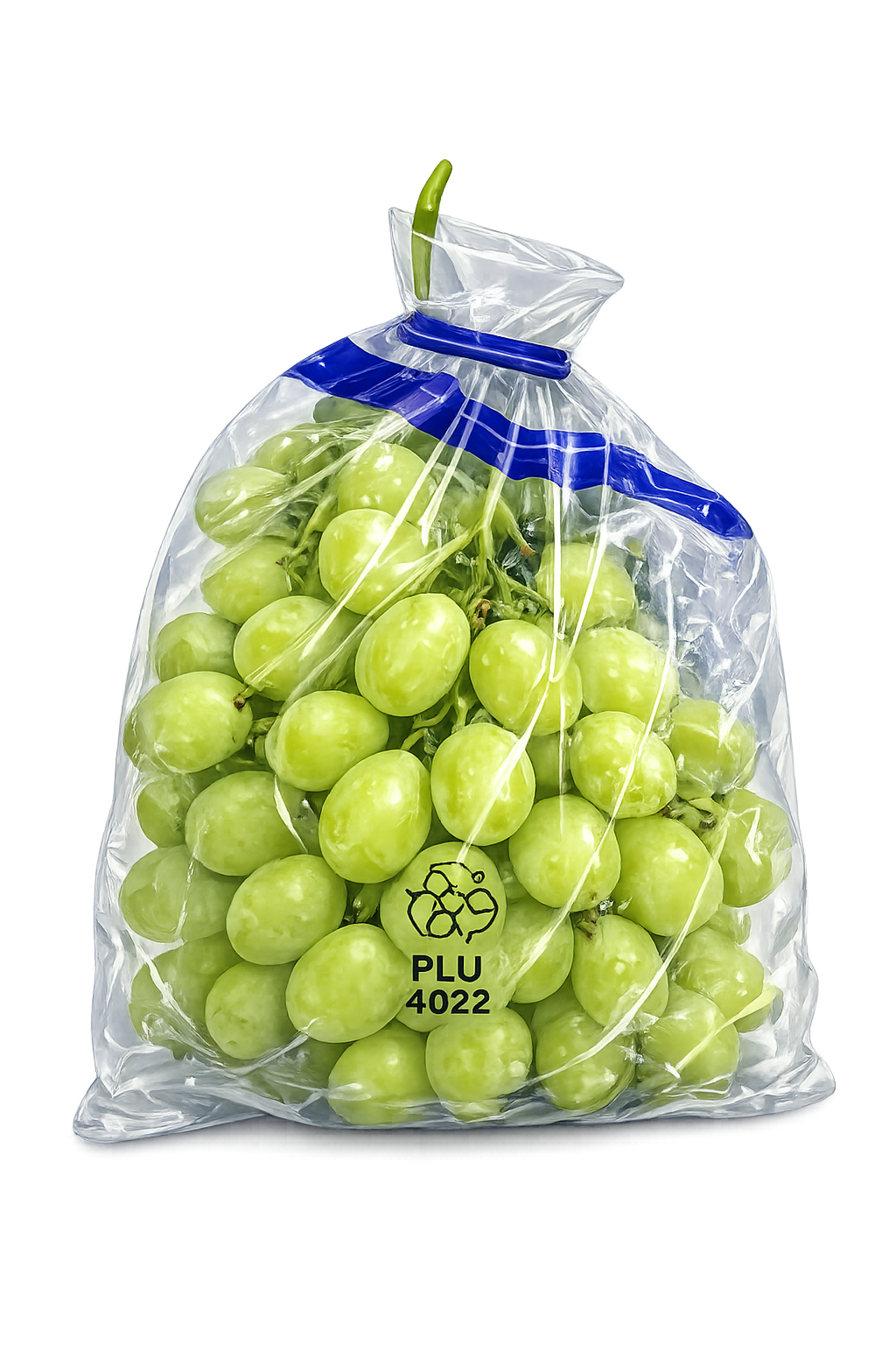 Plastic Bag