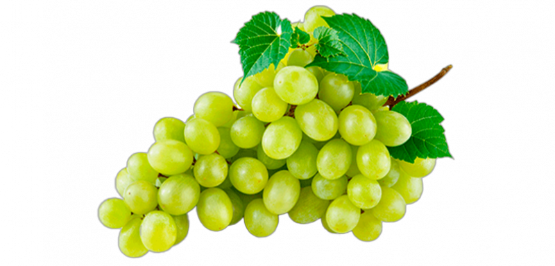 Superior Seedless