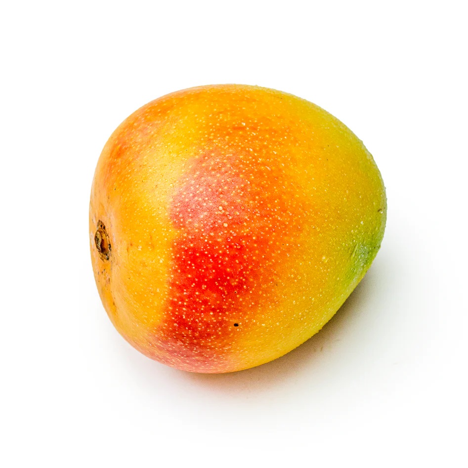 R2 E2