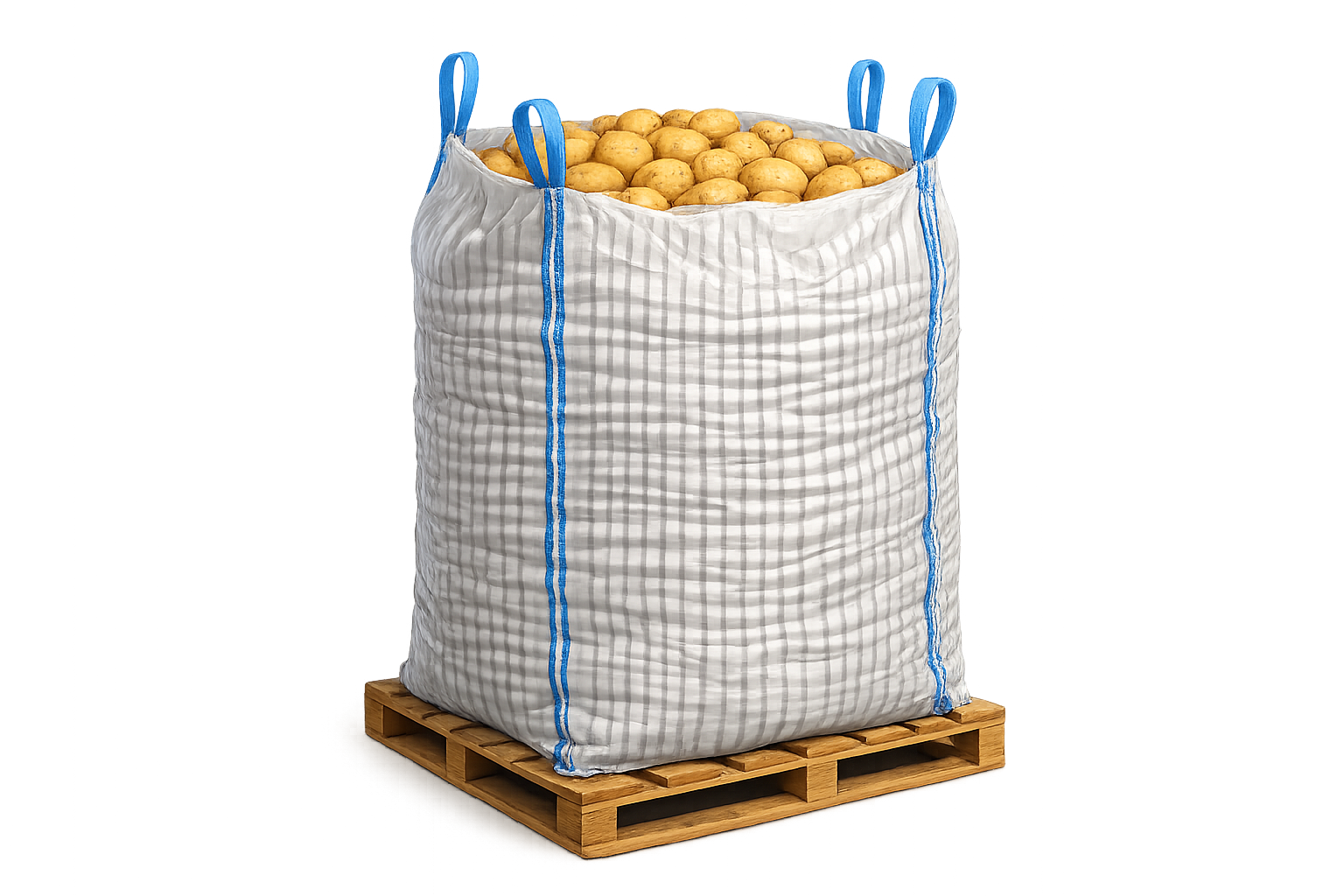 Jumbo Bags