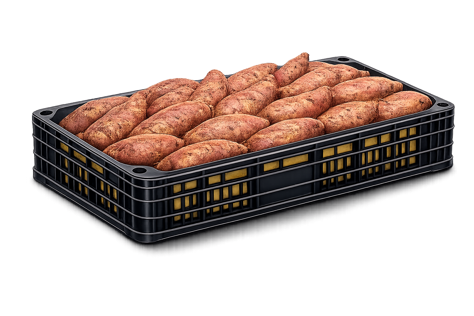 Plastic Tray