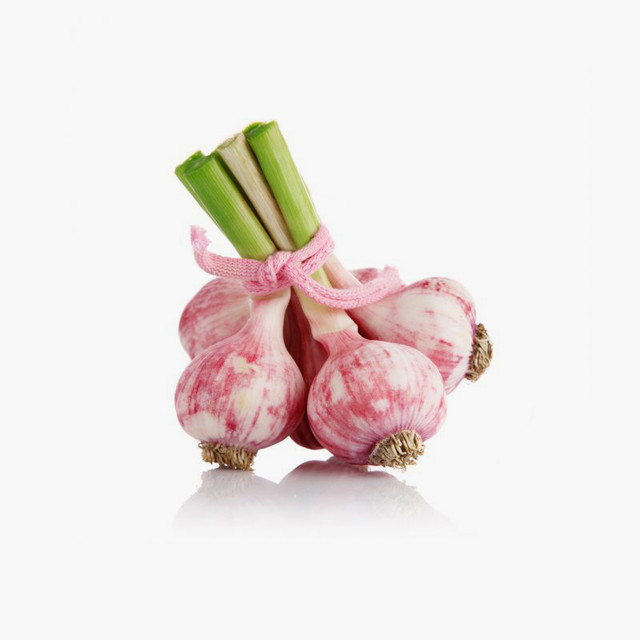 Red Garlic