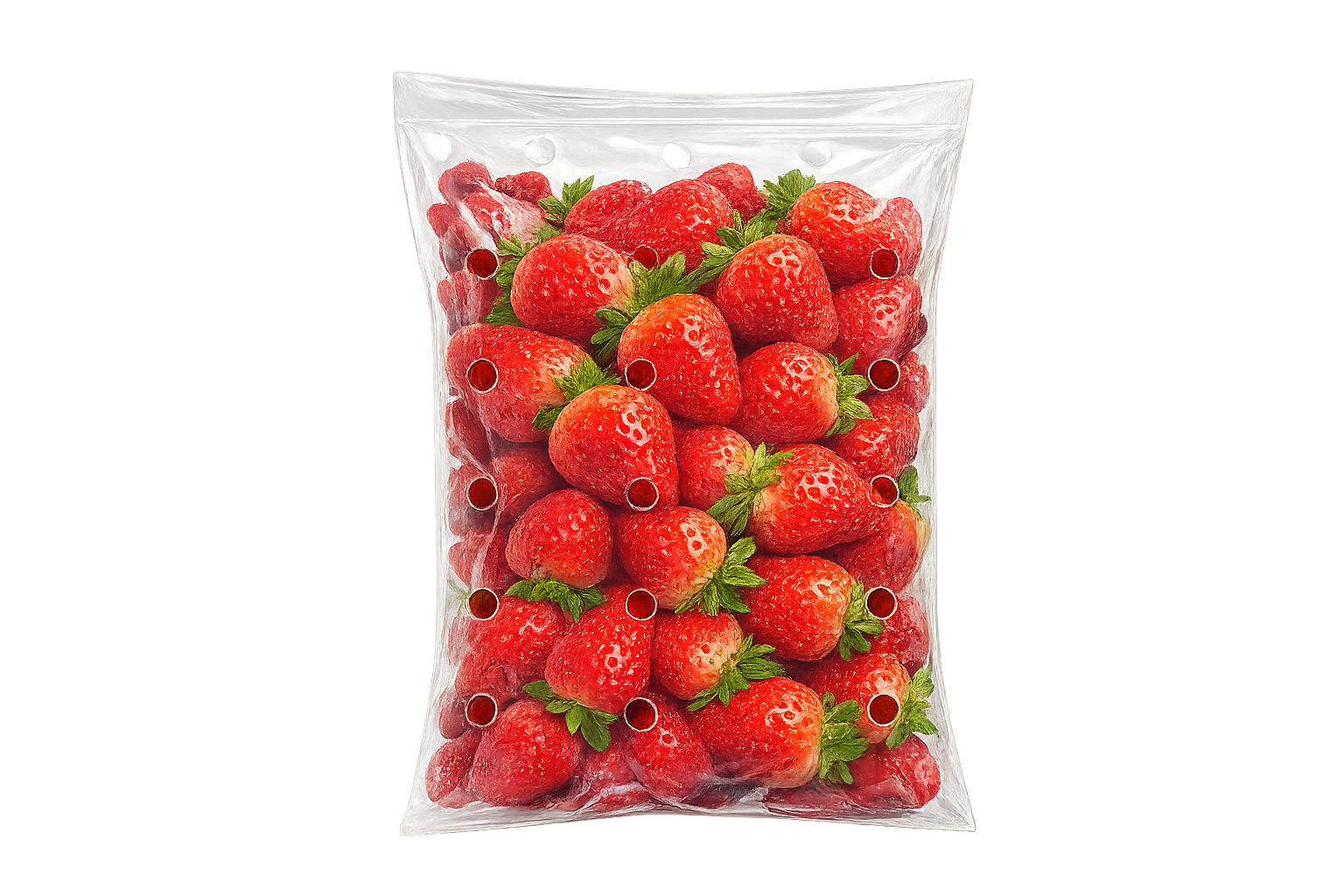 Plastic Bag