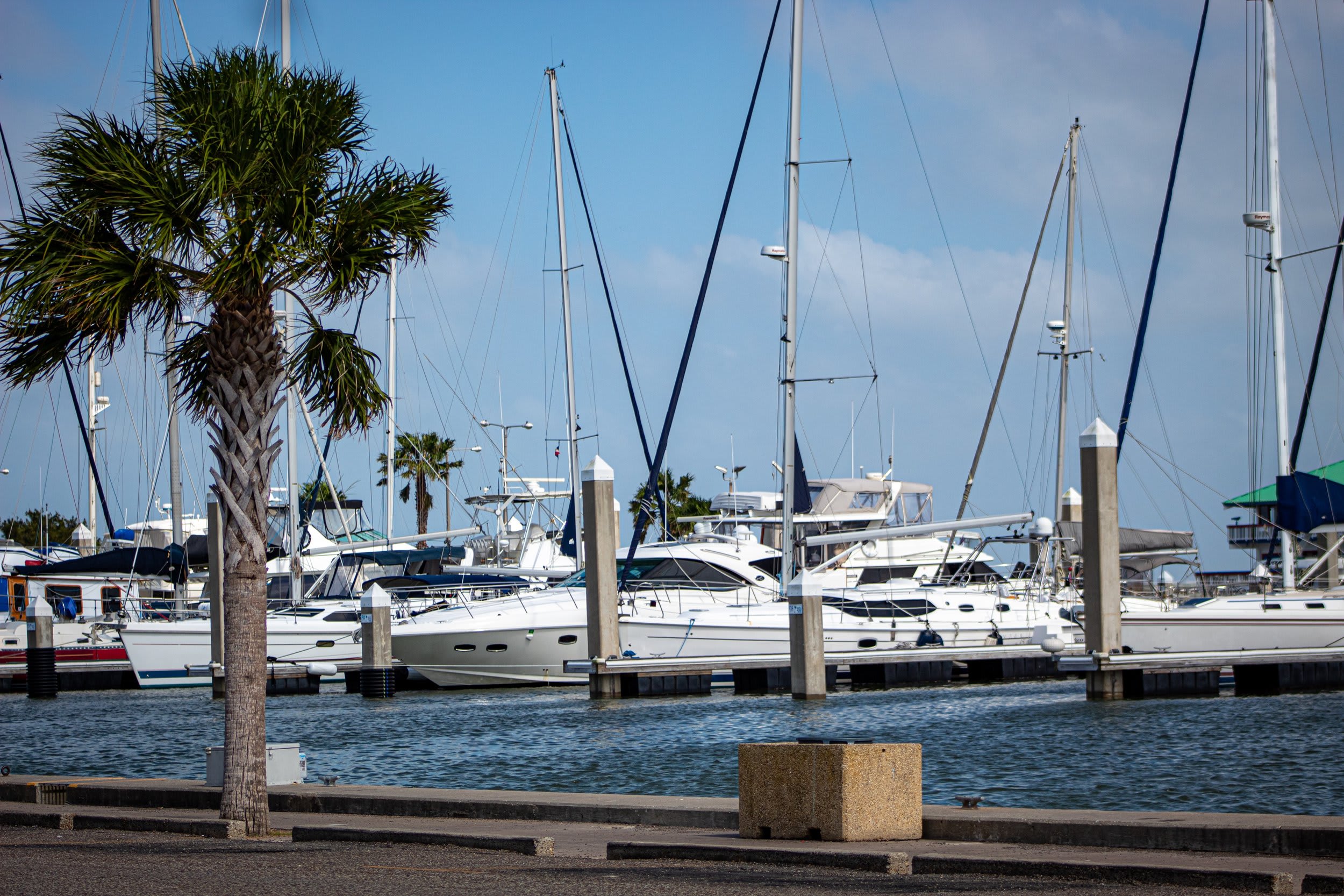 Dock With Yachts