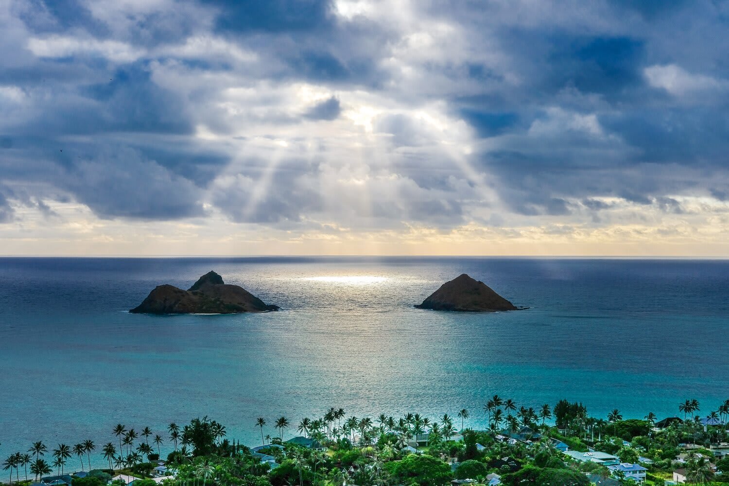 Bvi