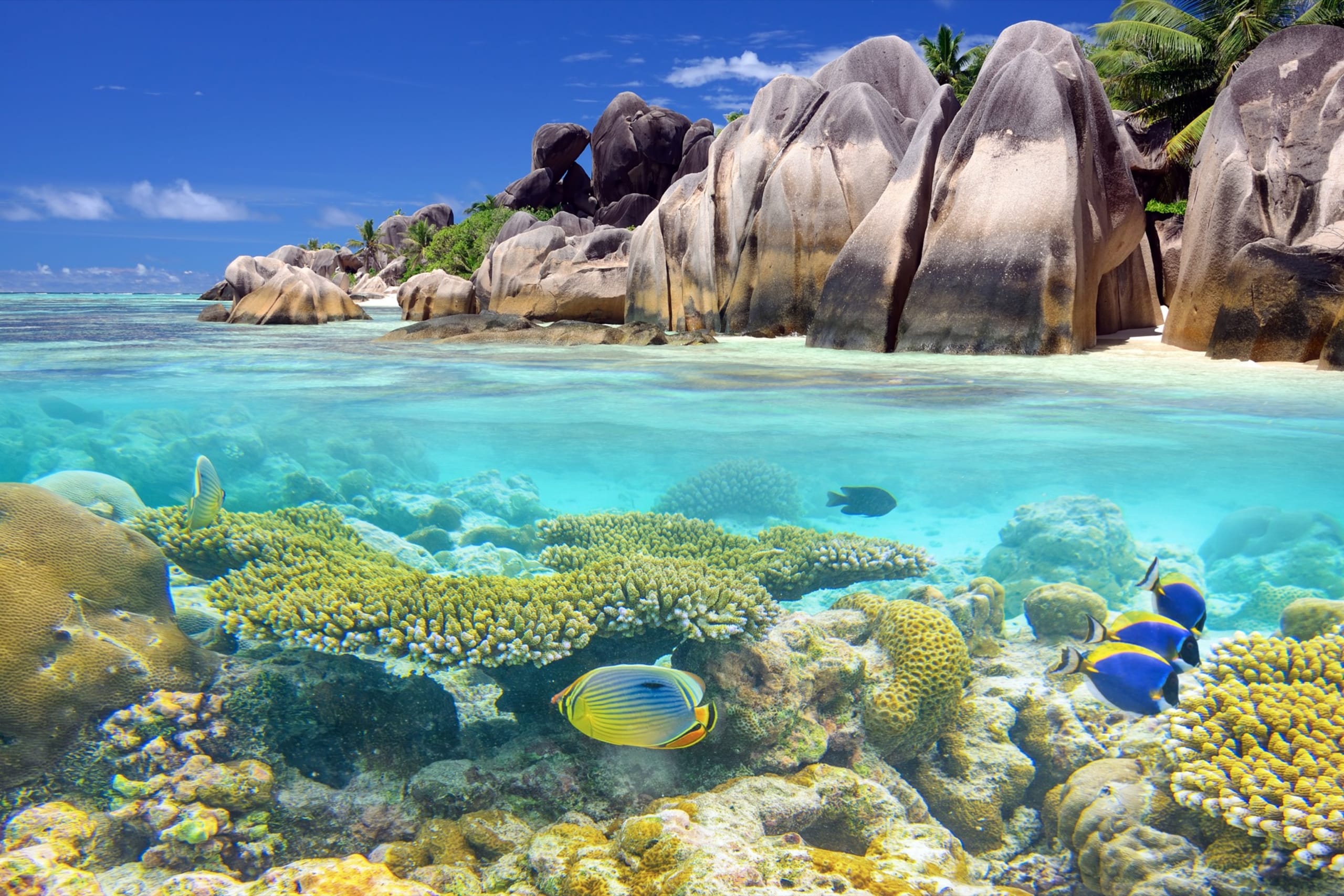 Over and underwater shot of tropical island