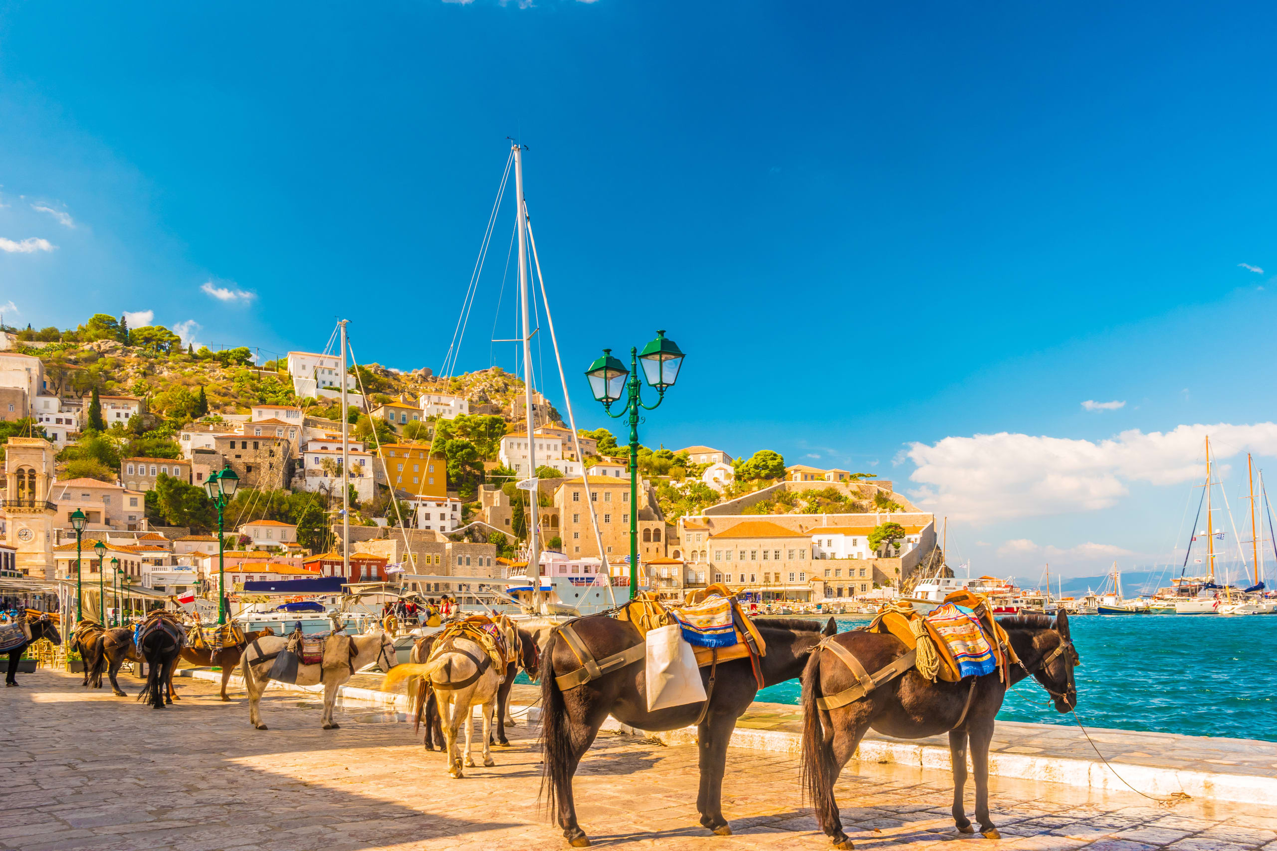 Donkeys, the means of transport at Hydra island Saronic Gulf Greece.