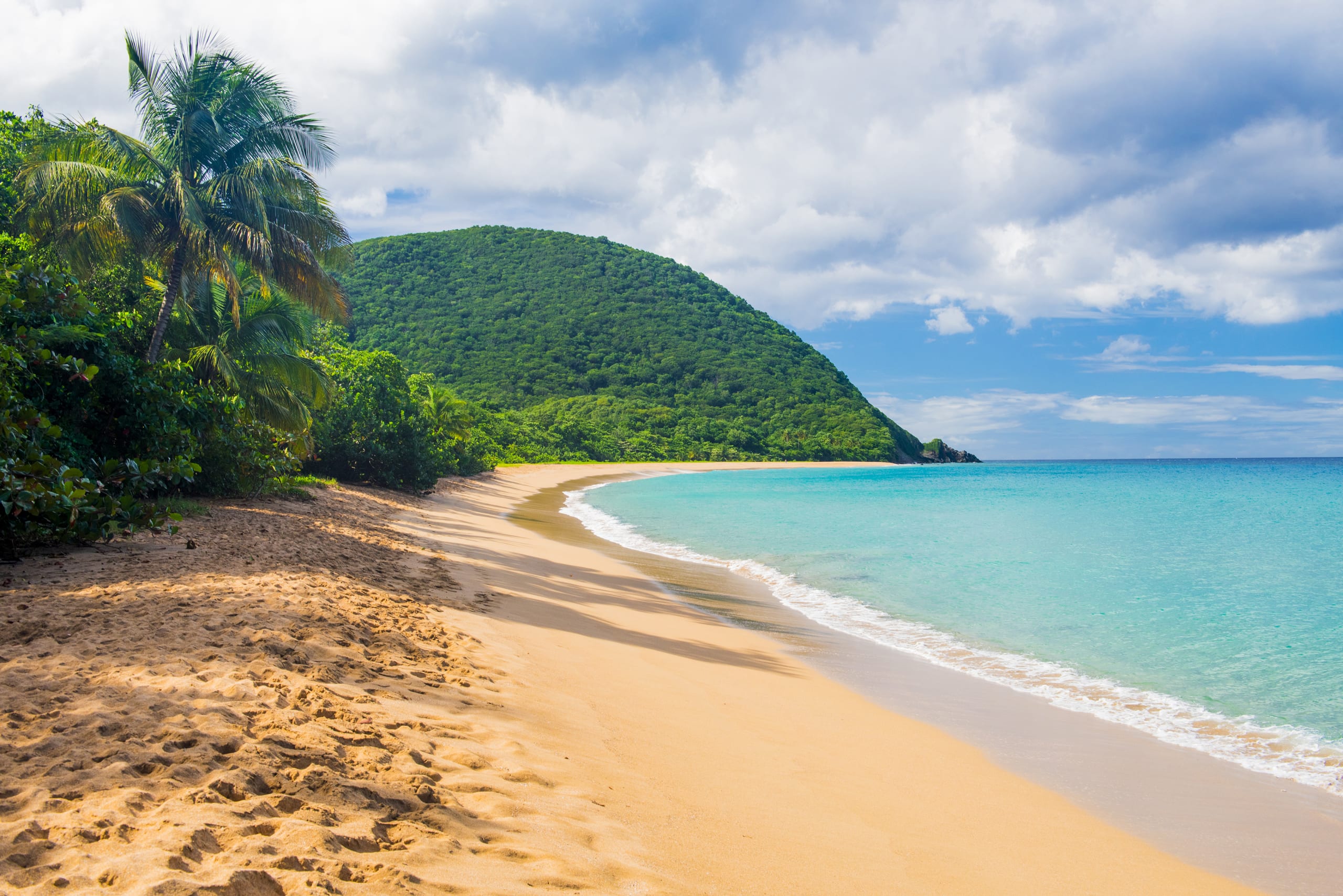 Great beach of Grand Anse near village of Deshaies, Guadeloupe, Caribbean