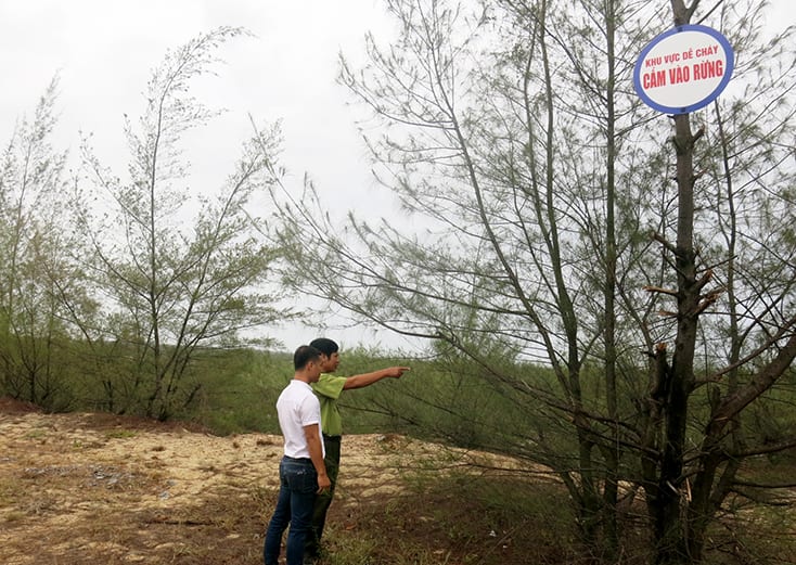 Lệ Thủy: Sẵn sàng ứng phó với