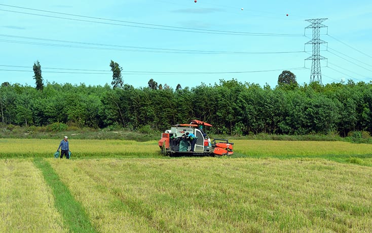 Vững vàng Tây Trạch