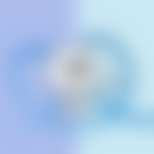 User Behavior