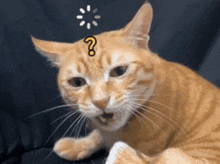 https://res.cloudinary.com/dpzknshvi/image/upload/v1756261115/uxcomic-imgs/25c5d164-78d8-80ec-9314-f94ff096f4a5.gif
