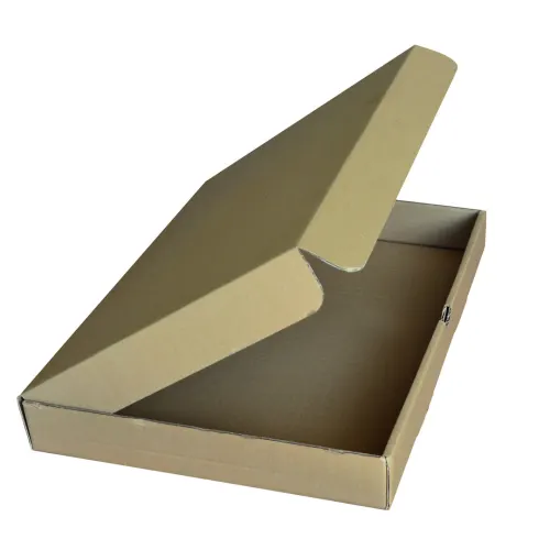 Boîte extra plate 24 x 18 x 5 cm photo du produit image1 L