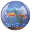 Tapis souris brite Poissons photo du produit image1 S