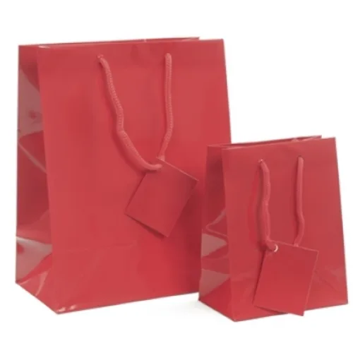 10 Sacs kraft pelliculé brillant moyen noir photo du produit image1 L