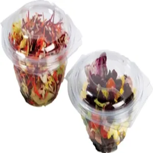 Bol salade transparent avec couvercle photo du produit