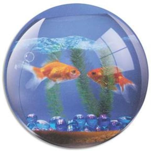 Tapis souris brite Poissons
