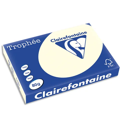 CLAIREFONTAINE Ramette de 500 feuilles papier couleur TROPHEE 80 grammes format A3 gris perle 1251 photo du produit image1 L