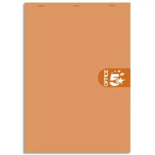 Bloc agrafé en-tête 160 pages non perforées 80g 5x5 format 21x29,7 (A4) photo du produit image1 L