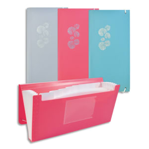 ELBA Elba PASTEL uitbreidbare familie sorter DL formaat 8 posities - 9 compartimenten PP assorti 3 kleuren productfoto