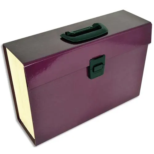 PIERRE HENRY Trieur PREMIUM 20 compartiments, en carton renforcé. Coloris aubergine photo du produit image1 L