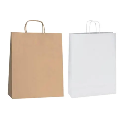 Sac kraft éco à poignées torsadées photo du produit image1 L