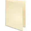 EXACOMPTA Pak van 100 SUPER 250 mappen in ivoor 210 gram kaart productfoto image1 S