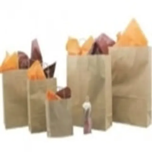Sacs papiers
