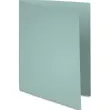 EXACOMPTA Pak van 100 SUPER 250 mappen in 210 grams card grey kleur productfoto image1 S