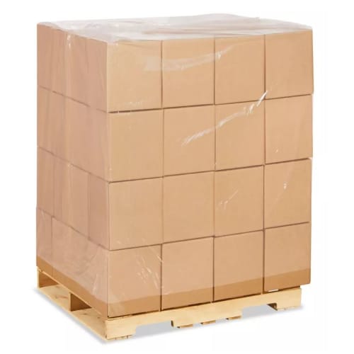 Coiffe Palette transparent