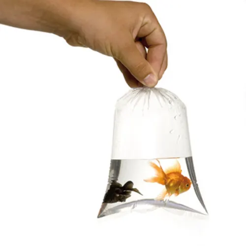 1000 Sachets plastique 20 x 30 cm photo du produit image1 L