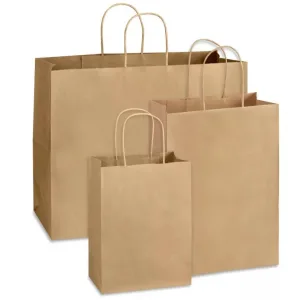 Sac Papier Kraft photo du produit