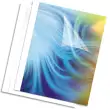 FELLOWES Pack de 100 couvertures thermiques blanches 1,5mm, A4, 150µ+200g 53151 photo du produit image1 S