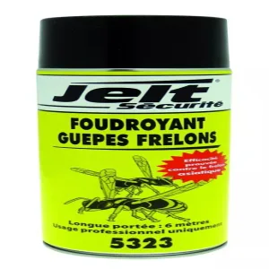 Foudroyant guêpes et frelons ITW Spraytec photo du produit