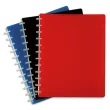 VIQUEL Protège-documents MAXI GEODE en pp opaque 5/10e. 60 vues, 30 pochettes. Coloris assortis photo du produit image1 S