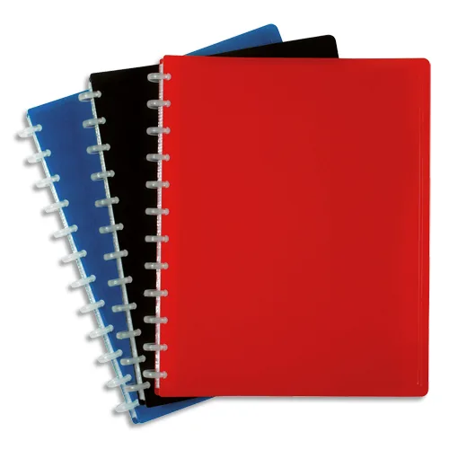 VIQUEL Protège-documents MAXI GEODE en pp opaque 5/10e. 60 vues, 30 pochettes. Coloris assortis photo du produit image1 L