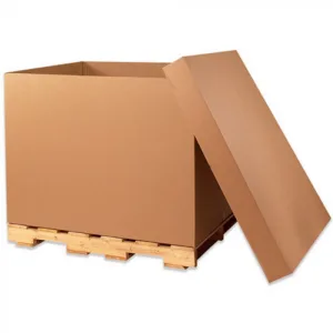 Carton Demi Container photo du produit