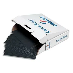 Carton Plume classic : en feuille / Format DIN CANSON photo du produit