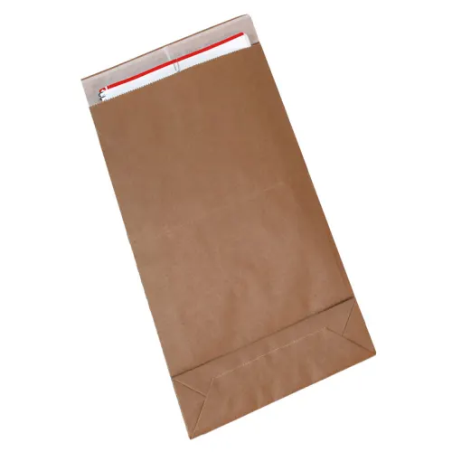 Pochette à fond plat avec fermeture auto-adhésive permanente 26x7x41+5 cm photo du produit image1 L