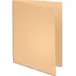 EXACOMPTA Pak van 100 SUPER 250 mappen in 210 grams bubbelkaart productfoto image1 S