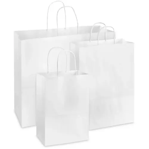 50 sacs kraft blanc 22 x 10 x 31 cm photo du produit image1 L