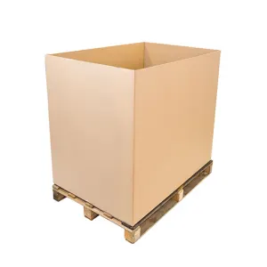 Container Carton photo du produit