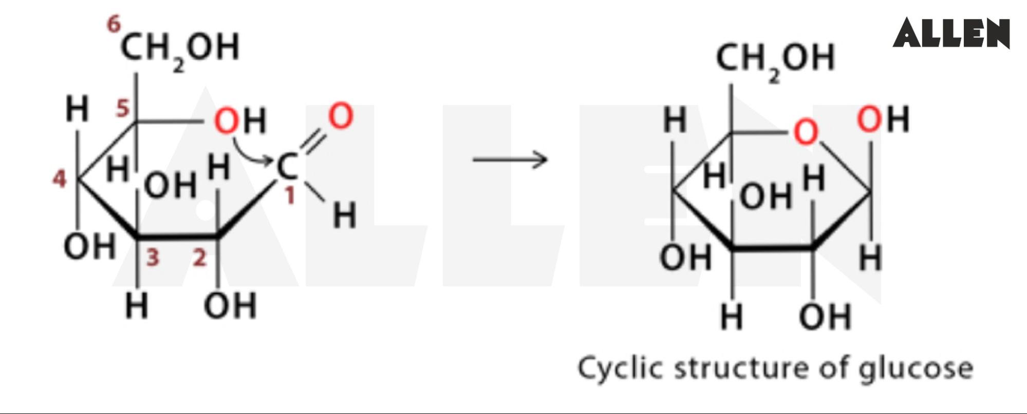 Glucose structure