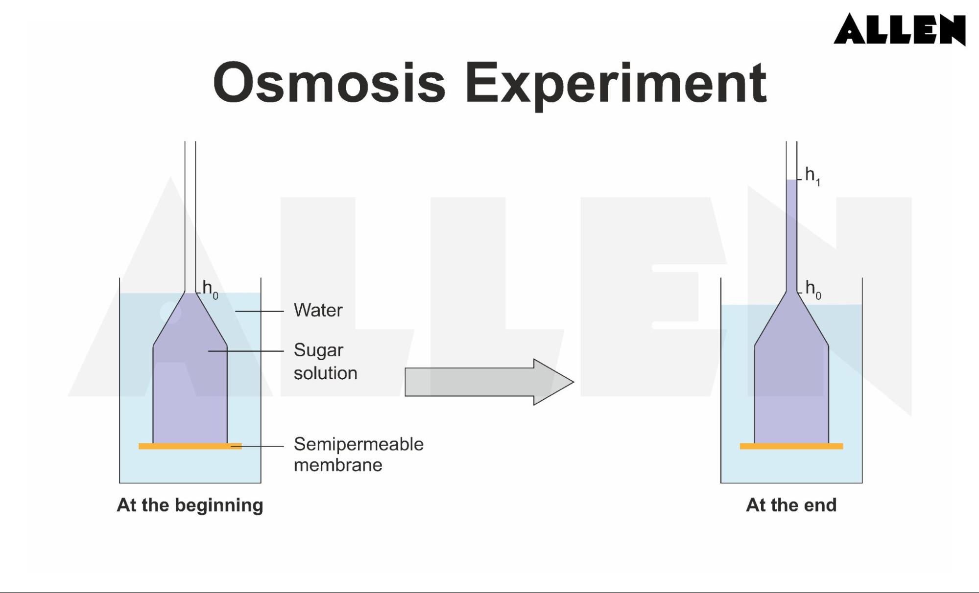 Osmosis