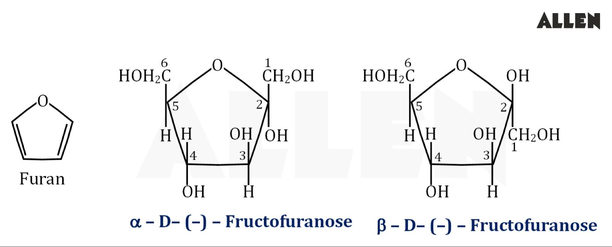 Structures of Fructose