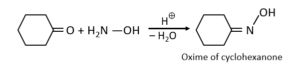 The Beckmann Rearrangement of Oximes