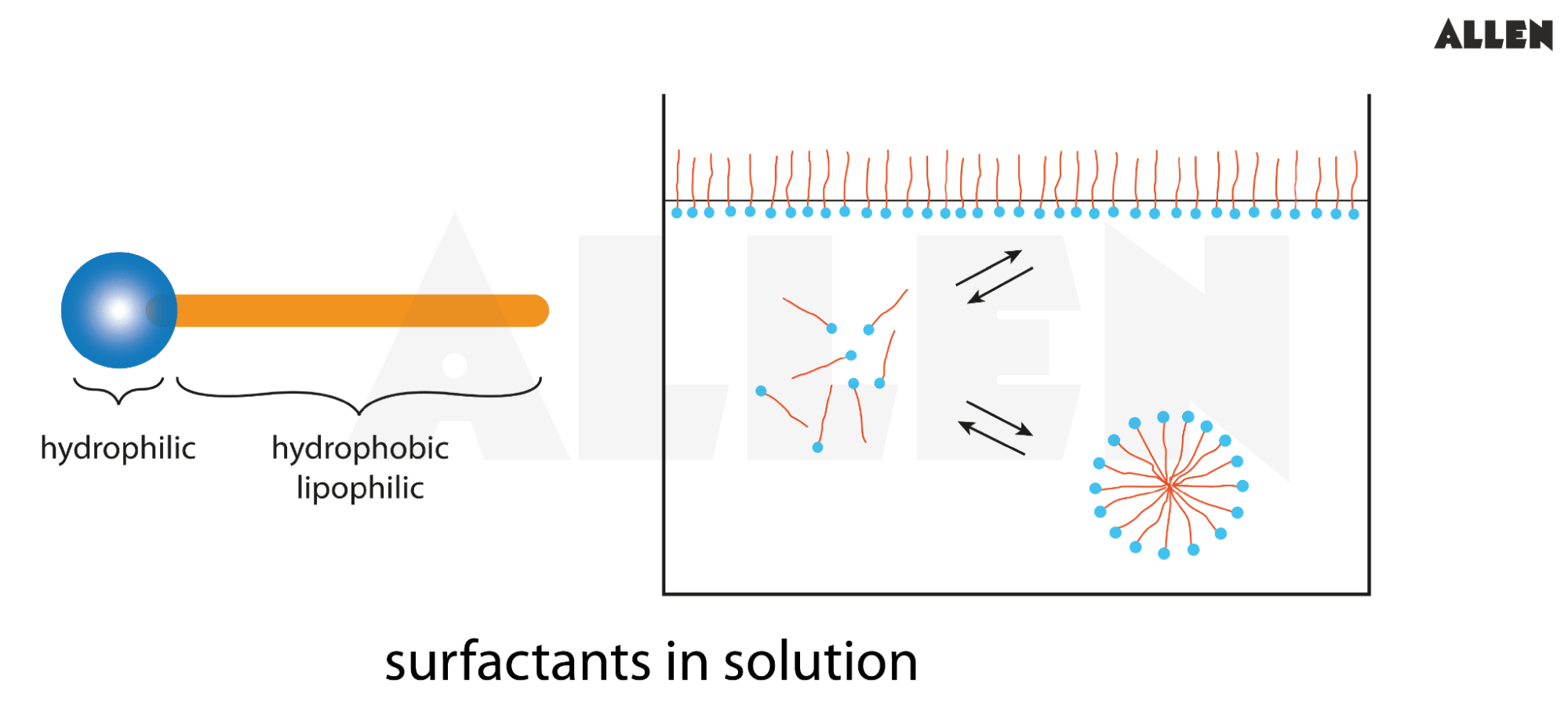 Types of Surfactants